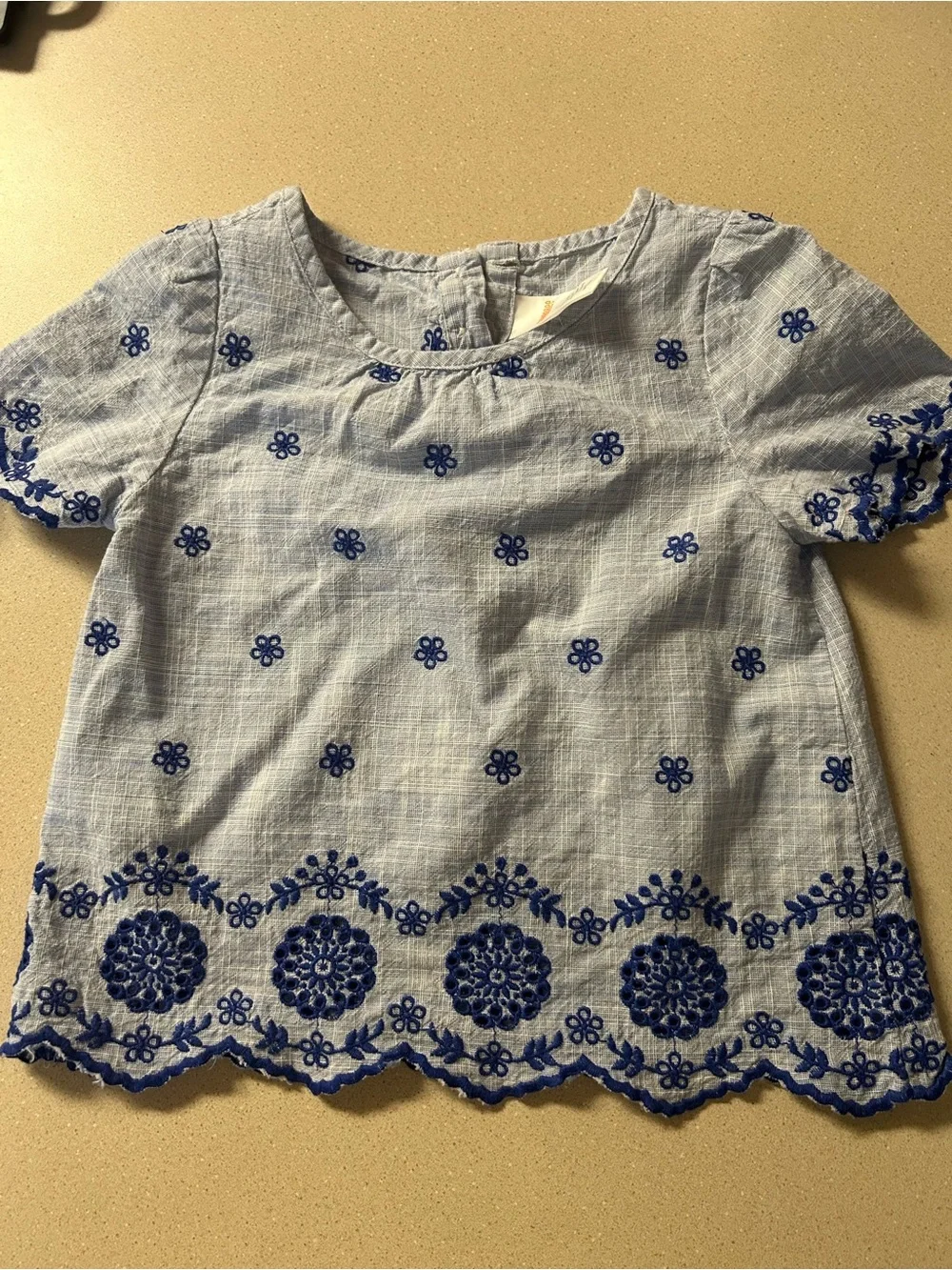 Gymboree Light Blue Embroidered Top with Royal Blue Pants